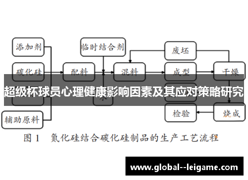 超级杯球员心理健康影响因素及其应对策略研究